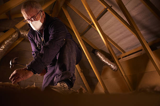 Best Insulation Maintenance and Repair in Ransomville, NY