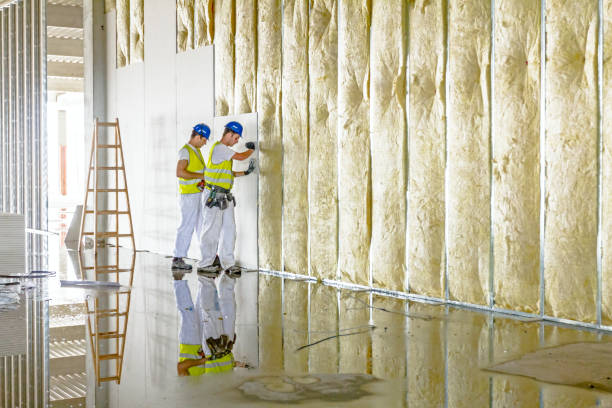 Best Insulation for Specific Applications in Ransomville, NY